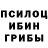 Псилоцибиновые грибы Magic Shrooms Vijay Raymal