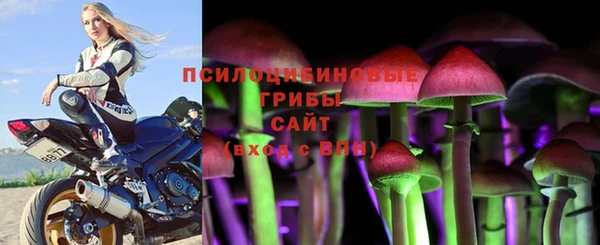 крисы Тутаев