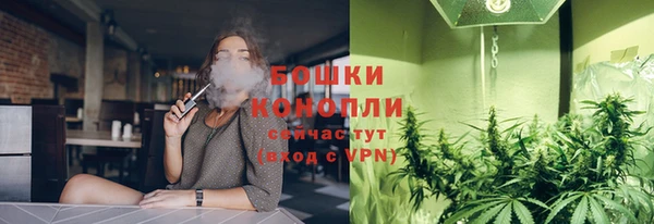 соль ск Михайлов