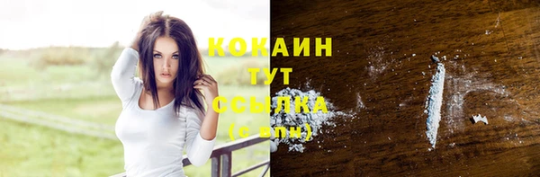 крисы Тутаев