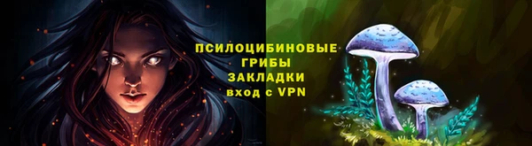 ешки Тында
