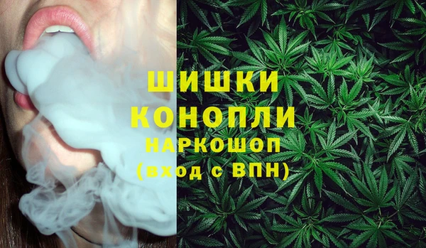 крисы Тутаев
