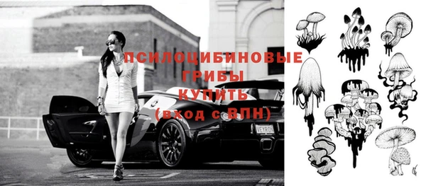 герыч Медногорск